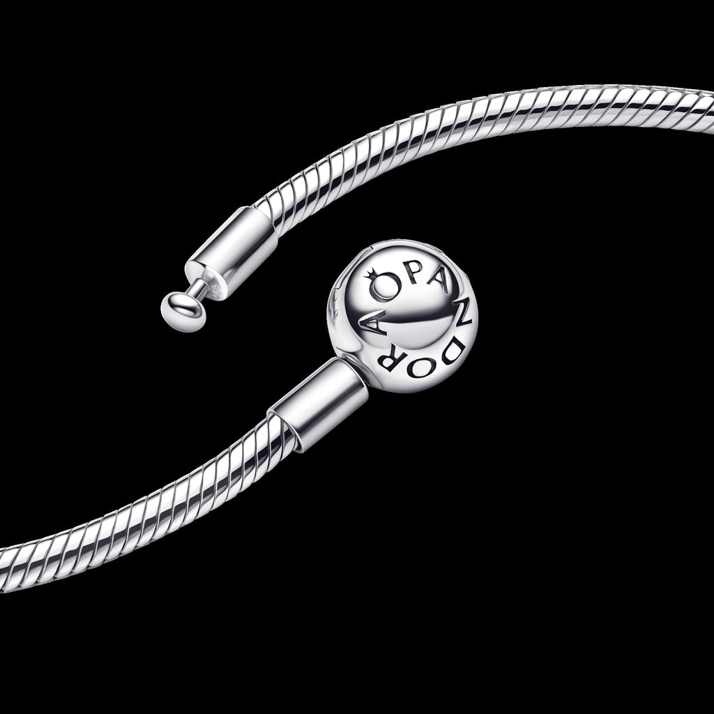 Moments Snake Chain Necklace